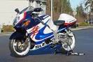 busa12Ejpg.jpg