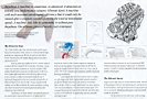 PAGE2.JPG